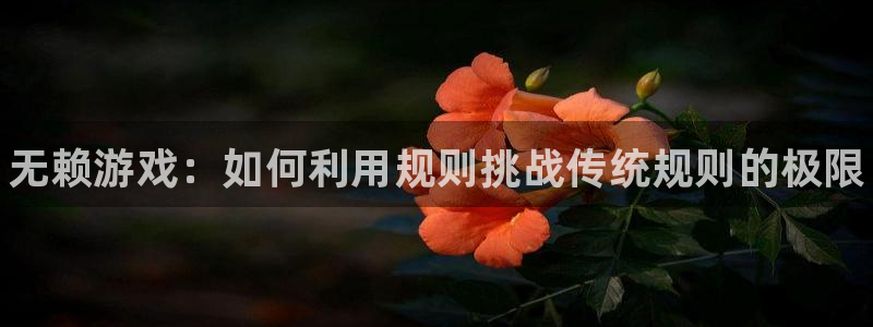 辉达娱乐注册官方登录app：无赖游戏：如何利用规则挑战传统规