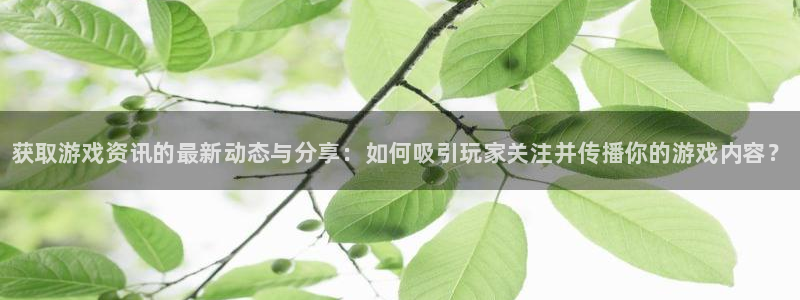 辉达娱乐4开户：获取游戏资讯的最新动态与分享：如何吸引玩家关