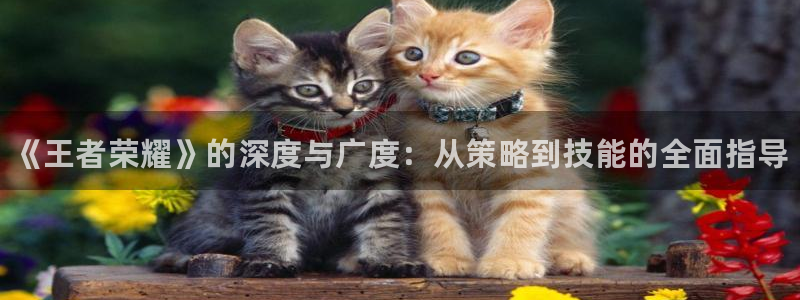 辉达娱乐平台注册资金多少