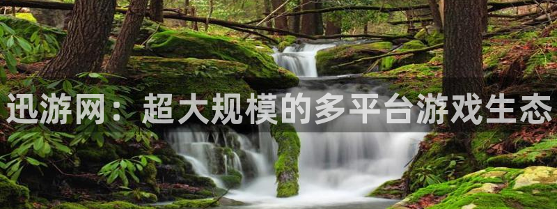 辉达娱乐代理登陆
