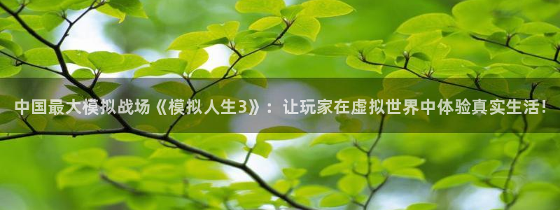 辉达娱乐注册网站：中国最大模拟战场《模拟人生3》：让玩家在虚