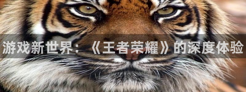 辉达娱乐科技：游戏新世界：《王者荣耀》的深度体验