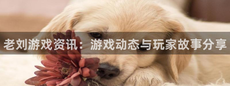 辉达娱乐注册官方登录app：老刘游戏资讯：游戏动态与玩家故事