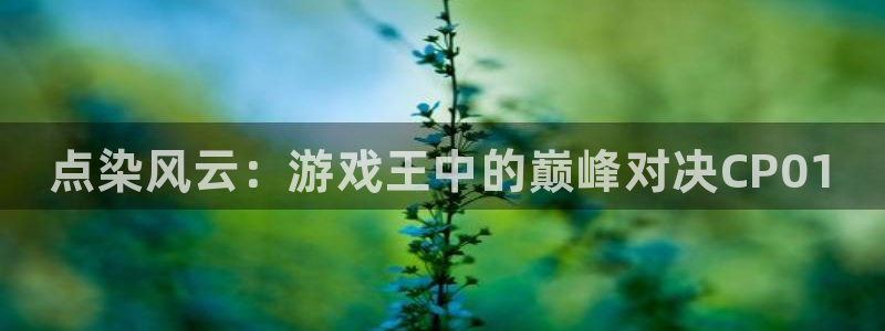 辉达娱乐网页登录入口：点染风云：游戏王中的巅峰对决CP01