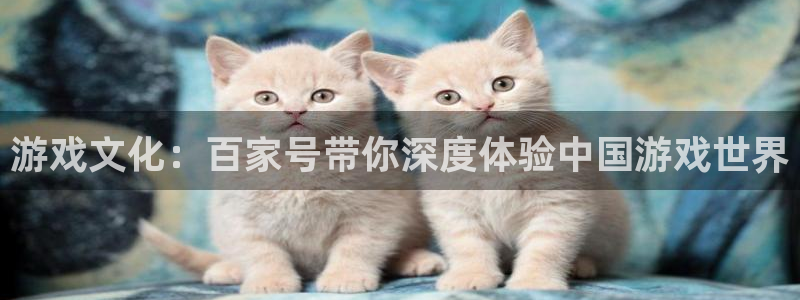 辉达娱乐主管