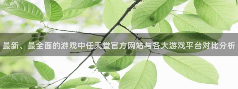 辉达娱乐的意思：最新、最全面的游戏中任天堂官方网站与各大游戏