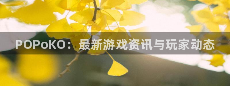 辉达娱乐平台官方网站：POPoKO：最新游戏资讯与玩家动态
