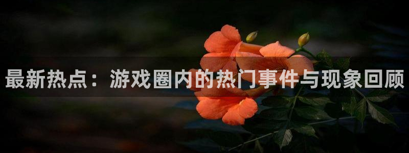 辉达娱乐咨询：最新热点：游戏圈内的热门事件与现象回顾