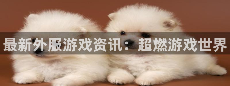 辉达娱乐怎么注册：最新外服游戏资讯：超燃游戏世界