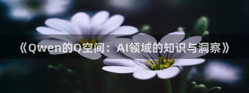 辉达娱乐集团：《Qwen的Q空间：AI领域的知识与洞察》