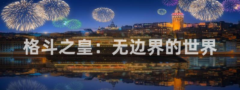 辉达娱乐注册开户：格斗之皇：无边界的世界